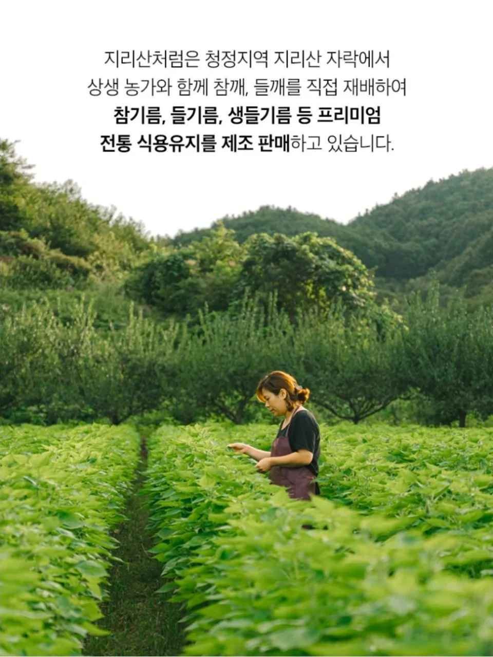 JY유통 위탁.도.소매.청소기.건강식품.생활용품.)_사진_20261001_12.jpg