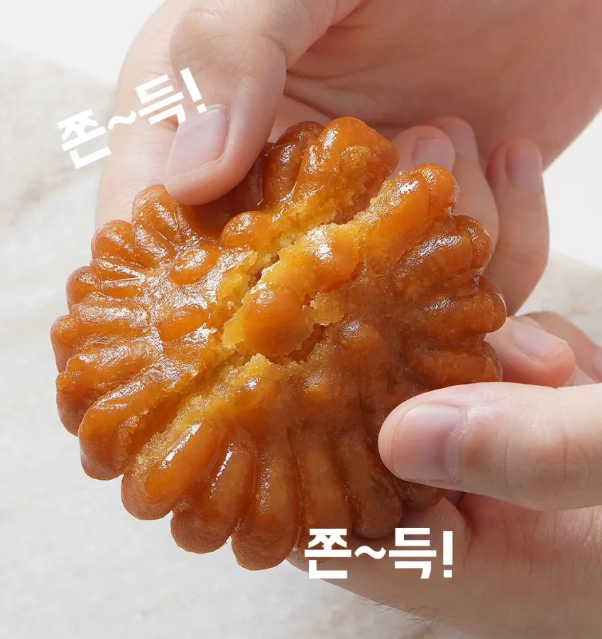 신씨네_사진_20261005_3.png