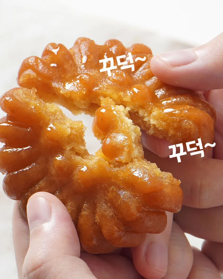 신씨네_사진_20261005_7.png