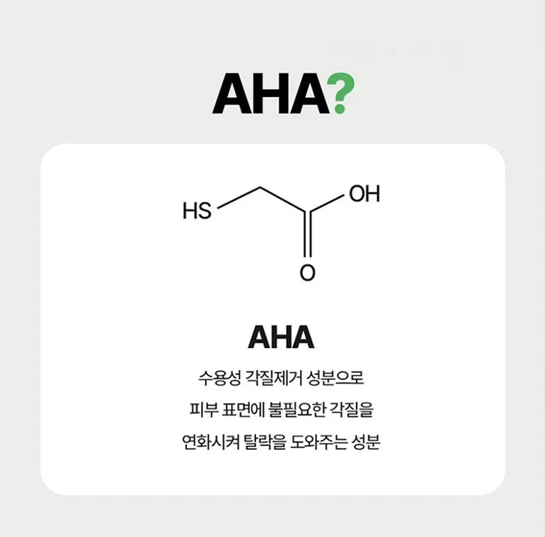 신씨네_사진_20261003_15.png