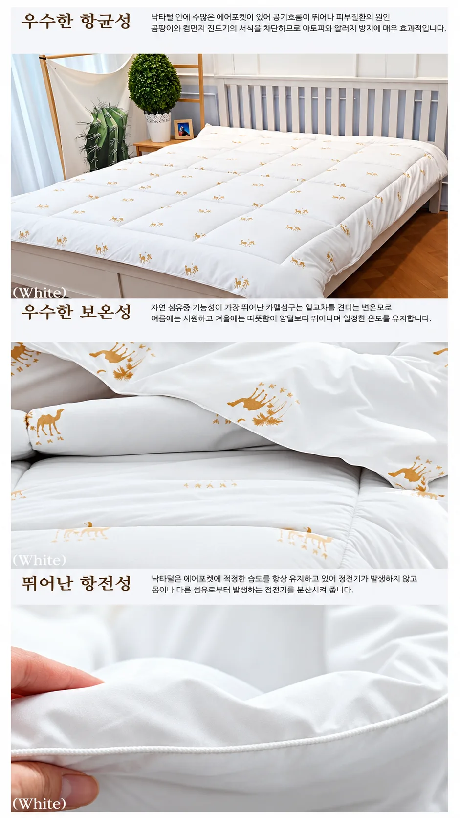 KakaoTalk_20261002_125316819.png
