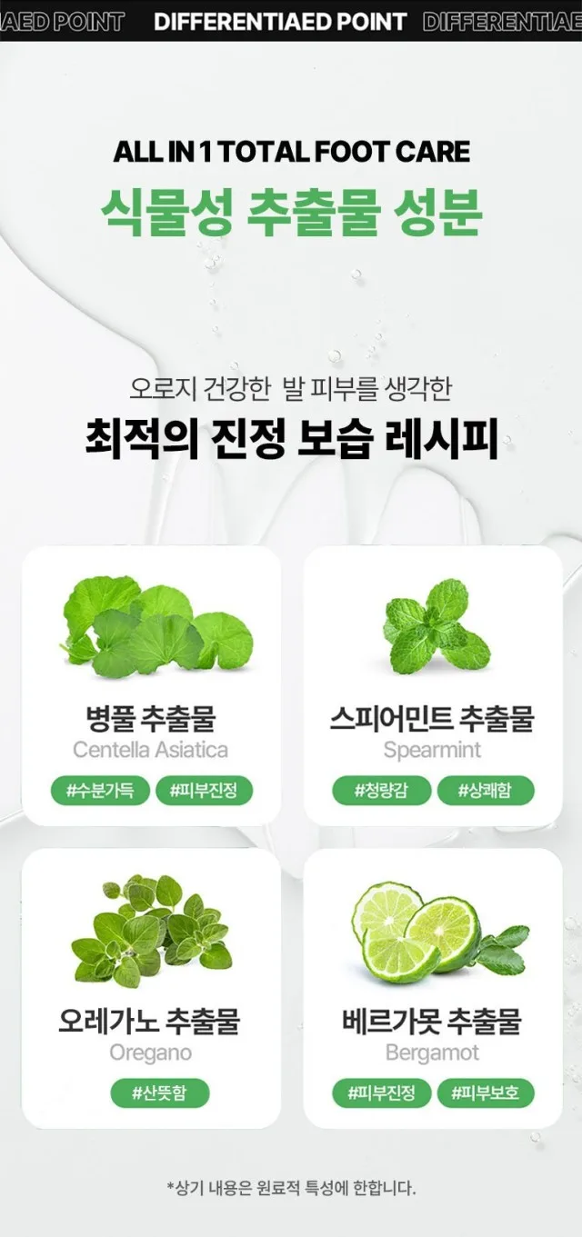 신씨네_사진_20261003_17.png